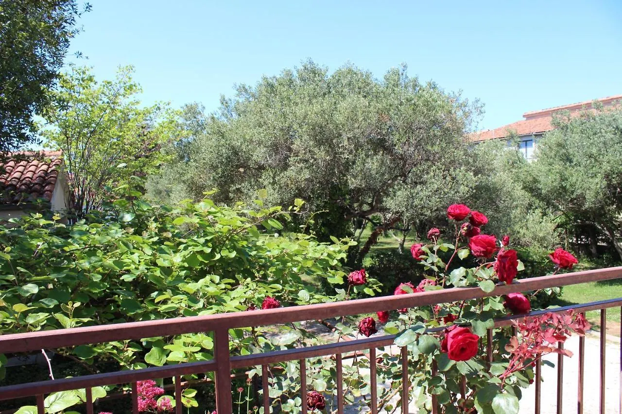 Holiday home Pierre'S Place Bibinje